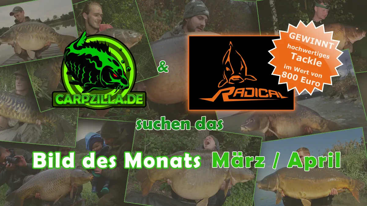 Bild des Monats März / April: die Top 20!