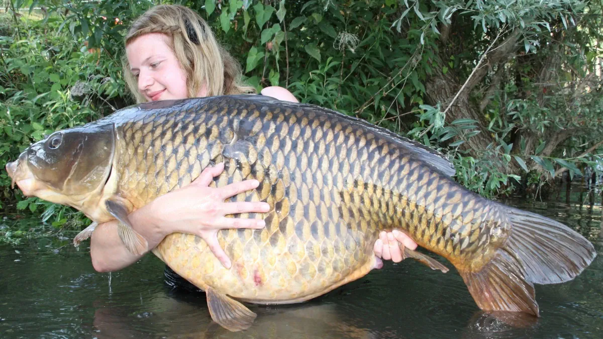 Bild des Jahres 2013: die Gewinner