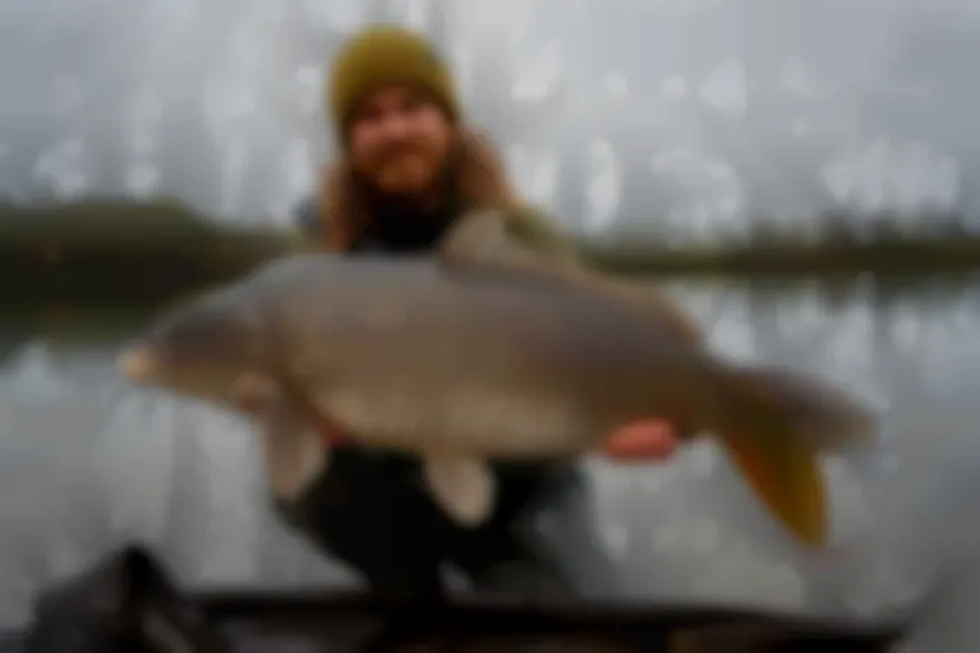 MARK DÖRNER'S WEIHER DIARIES - Folge 11: Viel Futter für große Karpfen?