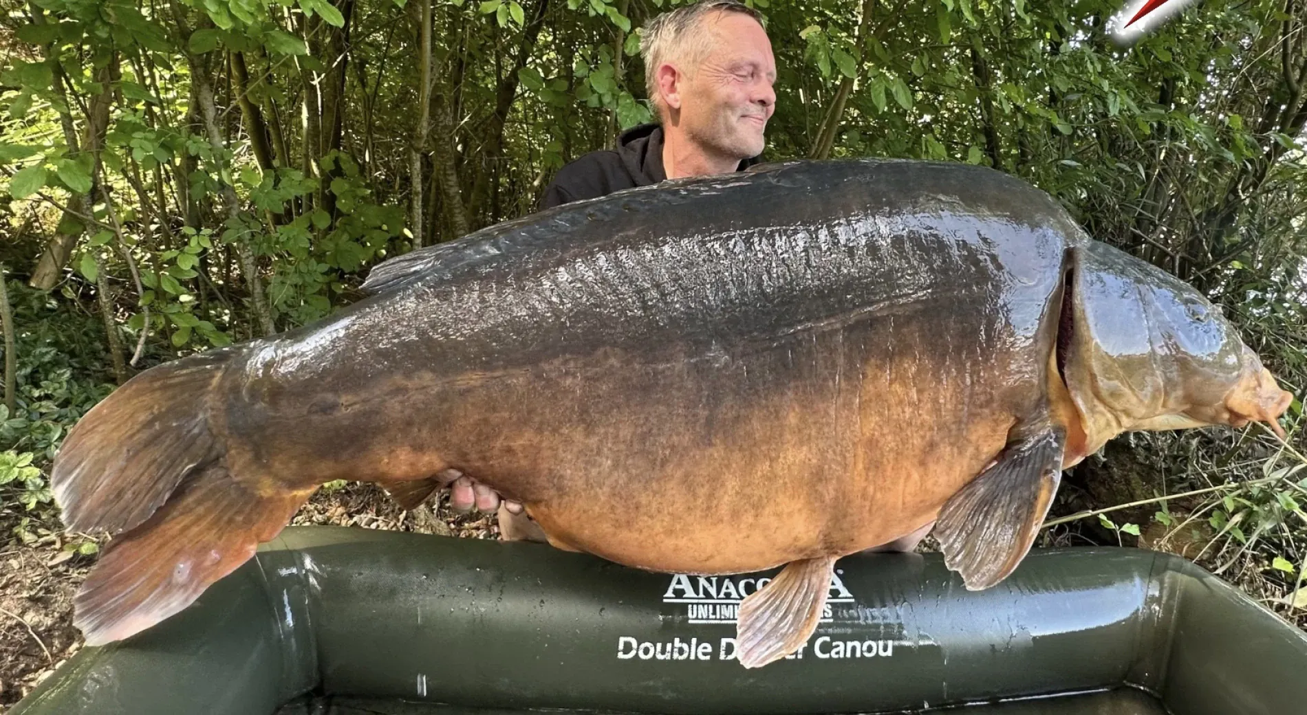 41,3 Kilo – Jörg Schlegel fängt deutschen Spiegelkarpfen-Rekord