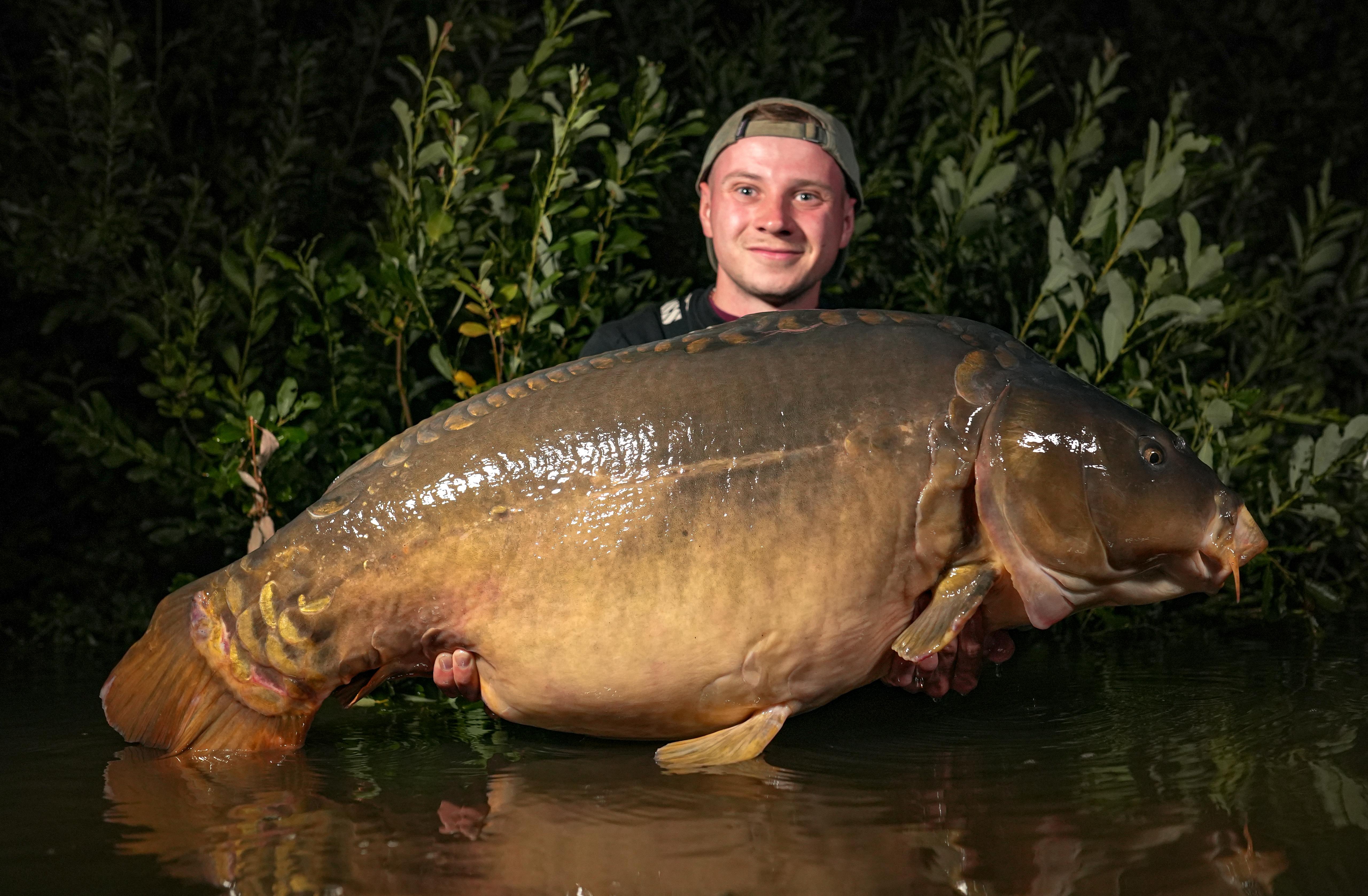 maxi-spiegler-25kg