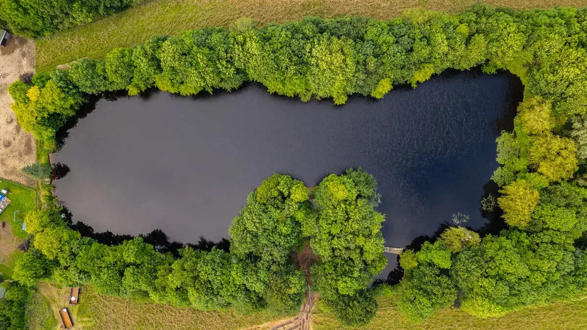 Ein ganzer See für dich allein: Carp Lake Rosmalen von Angling Escapes