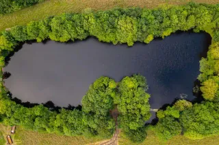 Ein ganzer See für dich allein: Carp Lake Rosmalen von Angling Escapes