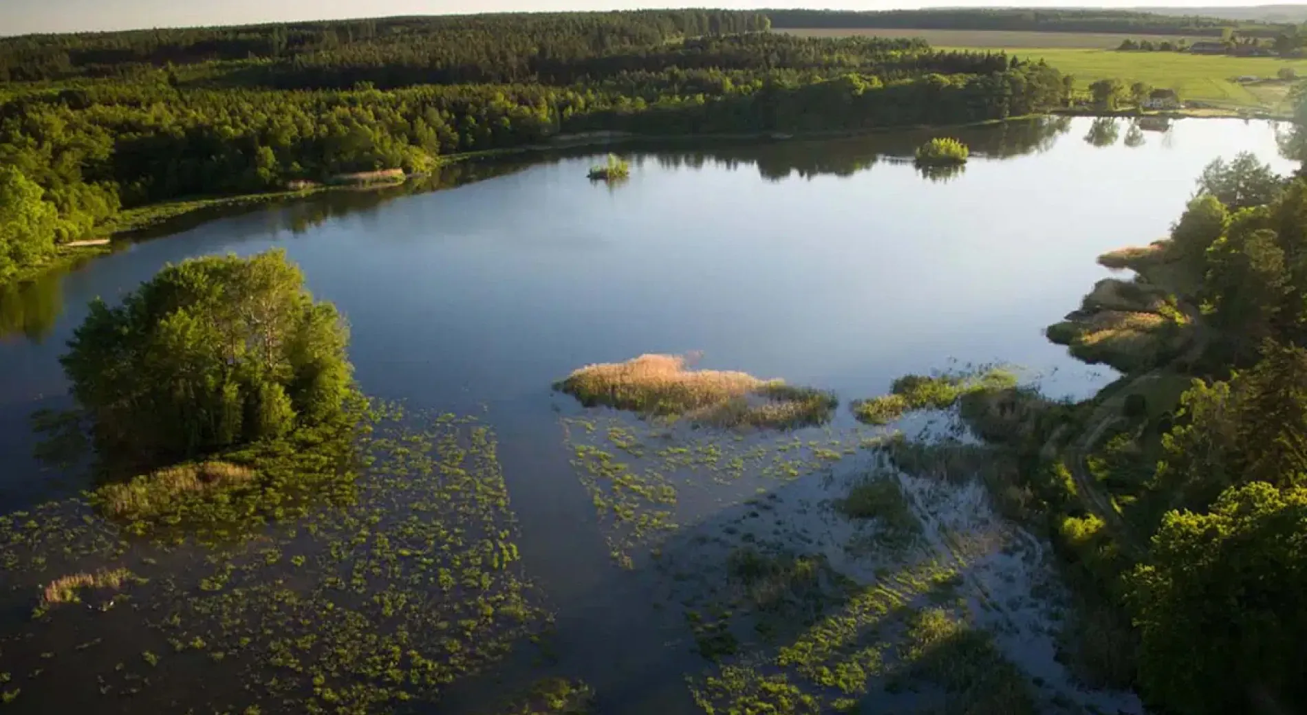 Carplake Katlov - das Tschechische Karpfenparadies bei Angling Escapes