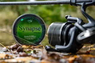 Die stärkste Hauptschnur im Katran-Programm: Synapse Wild Carp und Wild Carp Camo