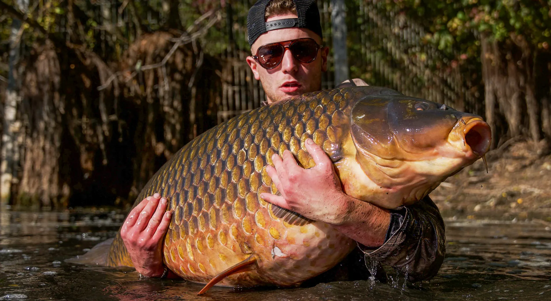 43,5 Kilo - Neuer deutscher Karpfen-Rekord! Moritz Sasse fängt größten Schuppenkarpfen Deutschlands