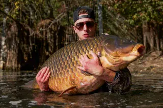 43,5 Kilo - Neuer deutscher Karpfen-Rekord! Moritz Sasse fängt größten Schuppenkarpfen Deutschlands
