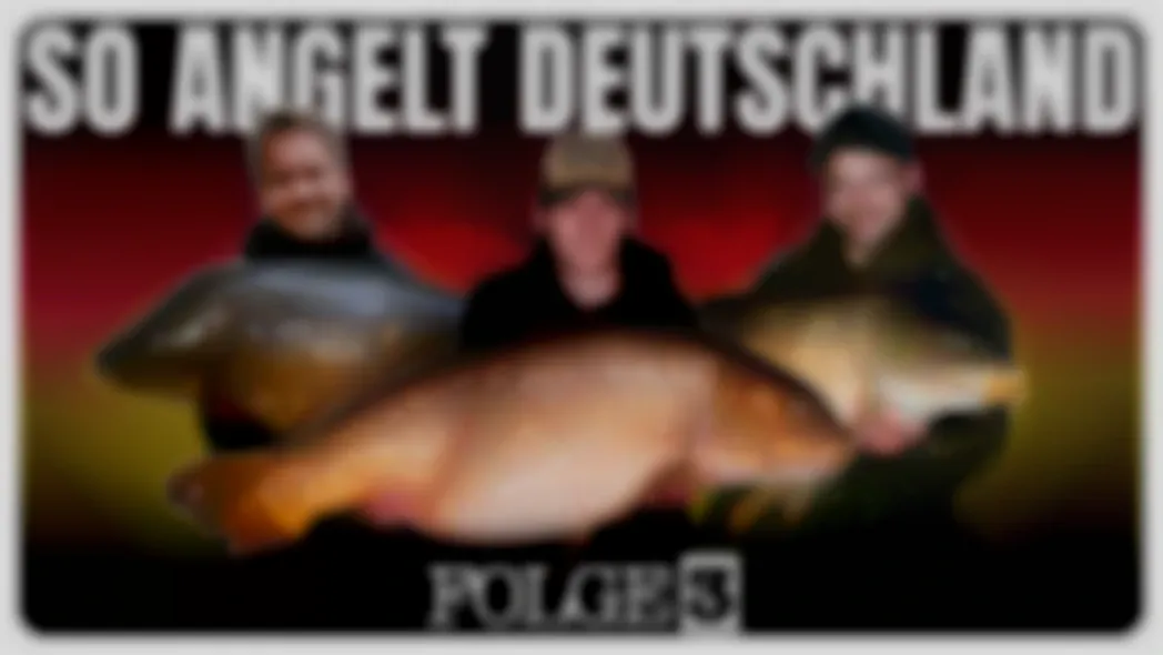 SO ANGELT DEUTSCHLAND: 3 Angler, 3 Gewässer, 1 Jahreszeit - Futter