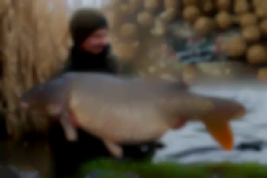 Für kaltes Wasser gemacht – limitierte ZimtZamba Winter-Range von Supreme Baits