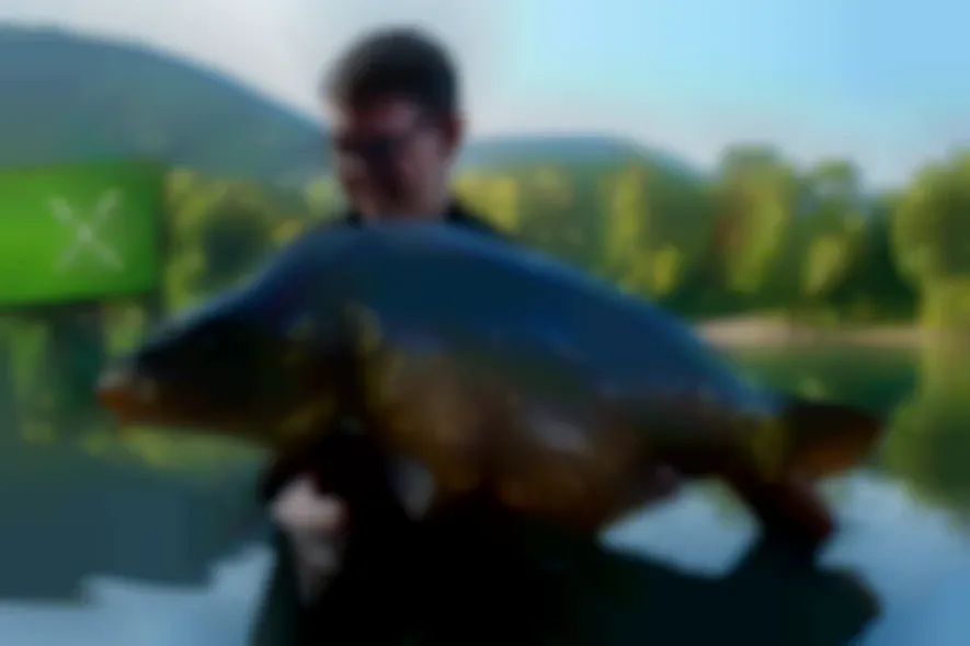 Der Wiegmann: Frankreich für Anfänger