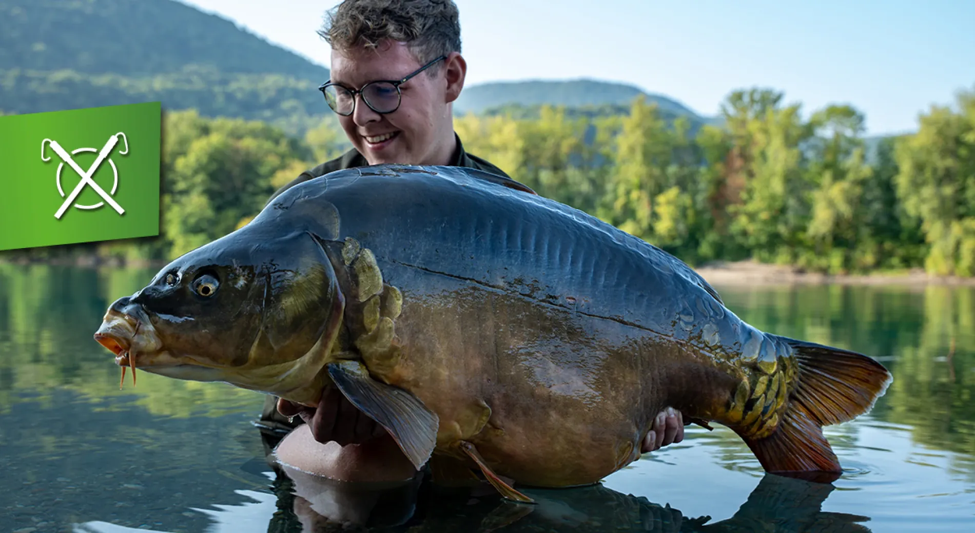 Der Wiegmann: Frankreich für Anfänger