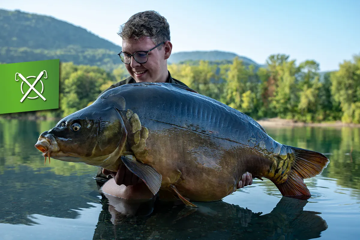 Der Wiegmann: Frankreich für Anfänger