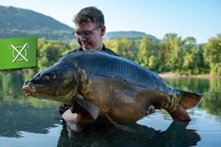 Der Wiegmann: Frankreich für Anfänger