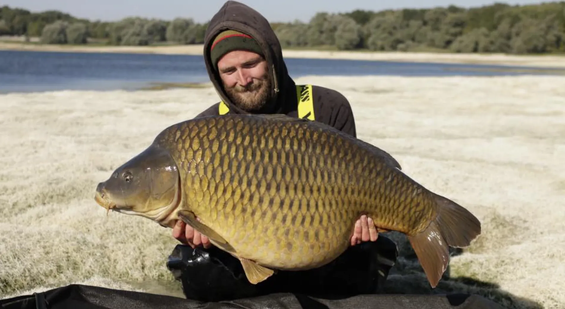 Lac d'Orient abgelassen: Was passiert mit den Fischen im Orient?