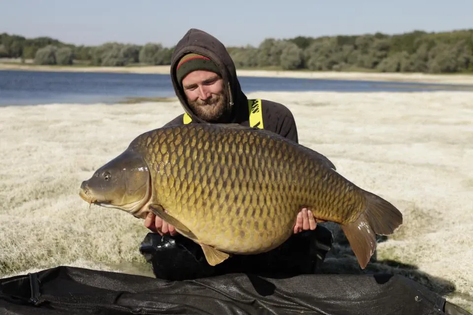Lac d'Orient abgelassen: Was passiert mit den Fischen im Orient?