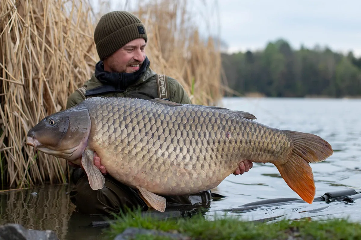 Köder für kaltes Wasser – limitierte ZimtZamba Winter-Boilie-Range von Supreme Baits