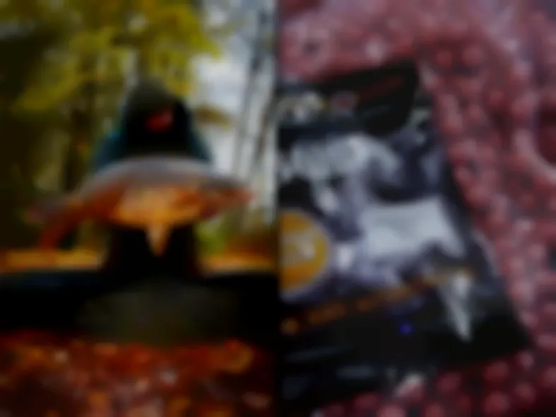 Bait Perfection auf der Carp Expo Mannheim - diese Messeangebote erwarten dich!