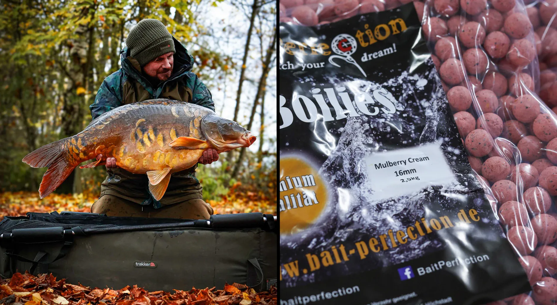 Bait Perfection auf der Carp Expo Mannheim - diese Messeangebote erwarten dich!