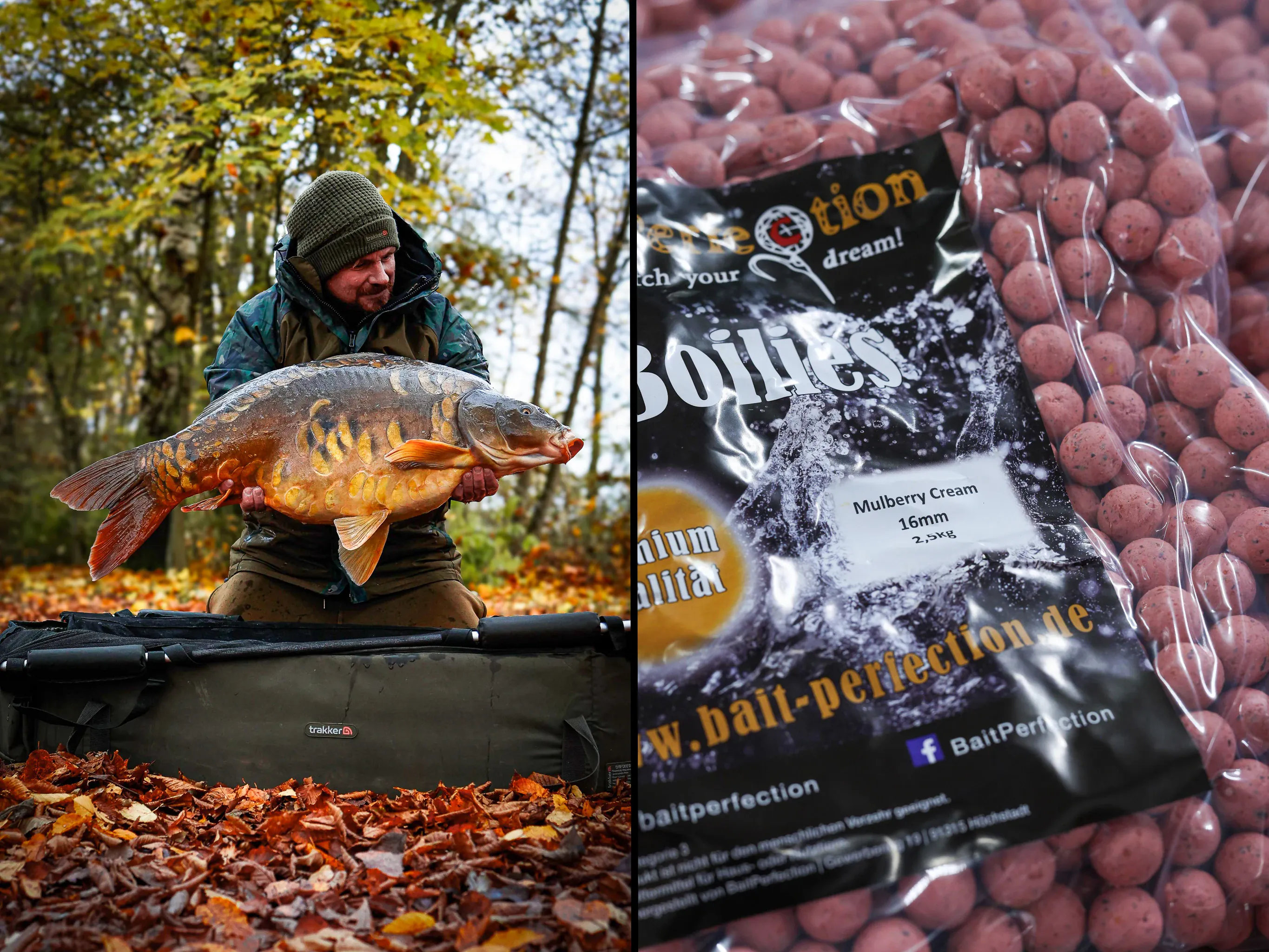 Bait Perfection auf der Carp Expo Mannheim - diese Messeangebote erwarten dich!