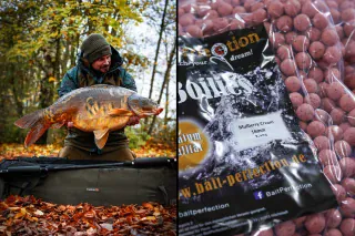 Bait Perfection auf der Carp Expo Mannheim - diese Messeangebote erwarten dich!