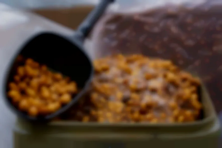 Besser als Boilies? Warum Tigernüsse Karpfen oft gezielter fangen!