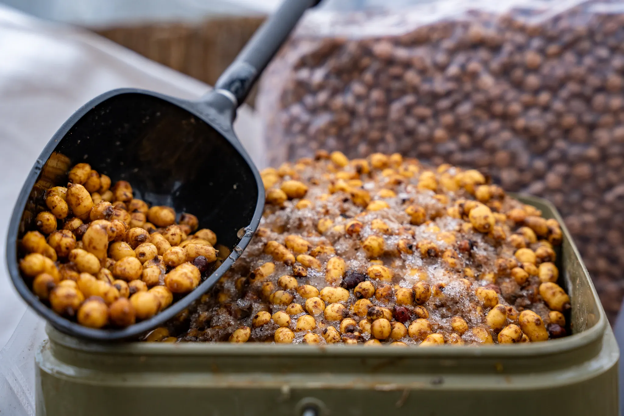 Besser als Boilies? Warum Tigernüsse Karpfen oft gezielter fangen!