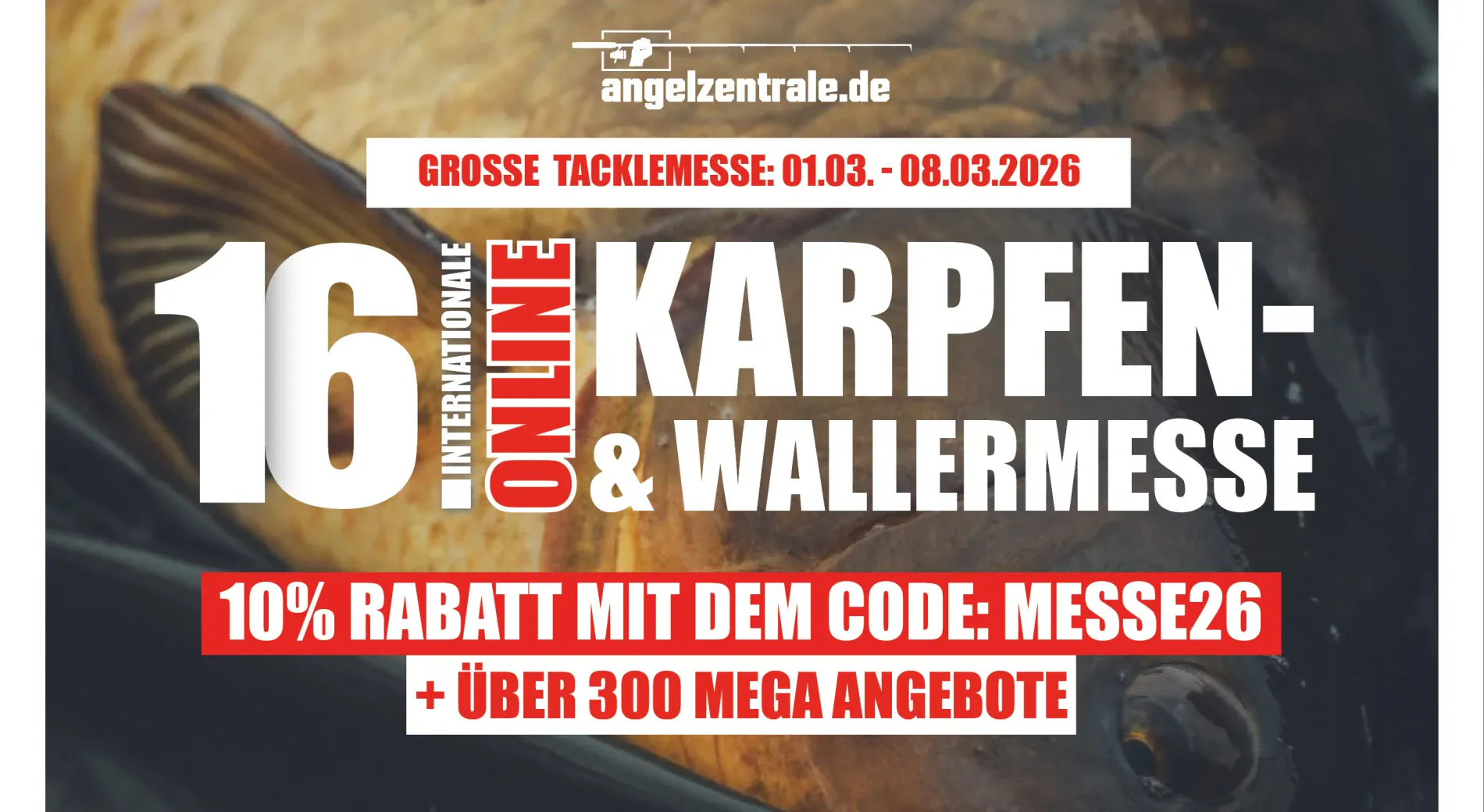 Über 300 Deals und 10% Extra-Rabatt: Online-Mega-Messe der Angelzentrale Herrieden