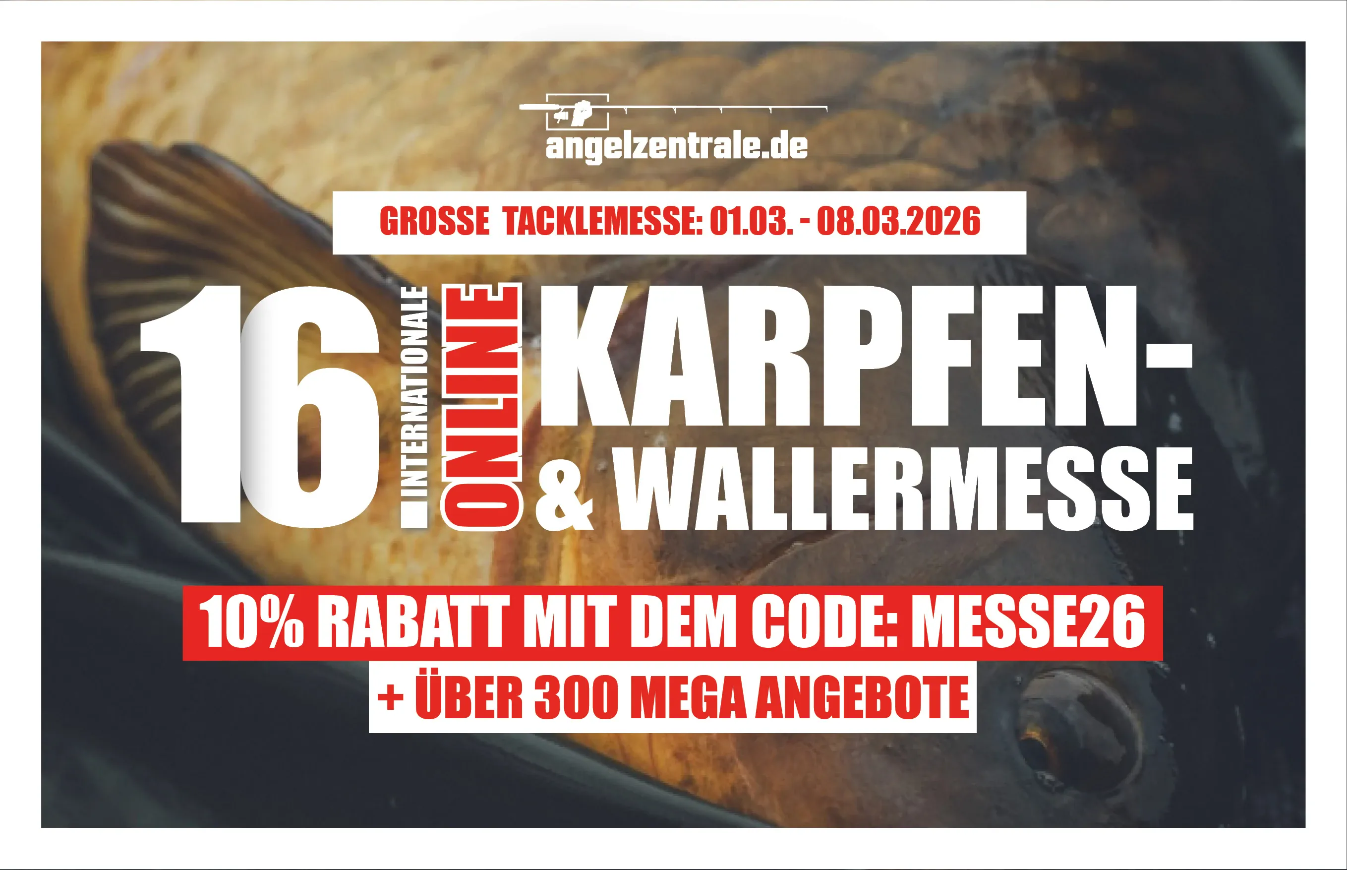 Über 300 Deals und 10% Extra-Rabatt: Online-Mega-Messe der Angelzentrale Herrieden