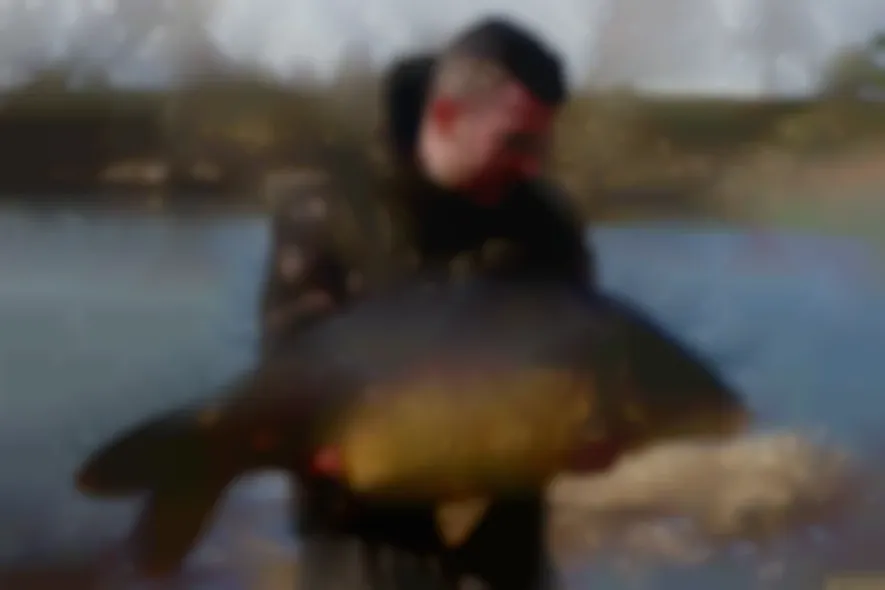 Im neuen LiverunTV-Video: Karpfenangeln mit dem Spinner-Rig