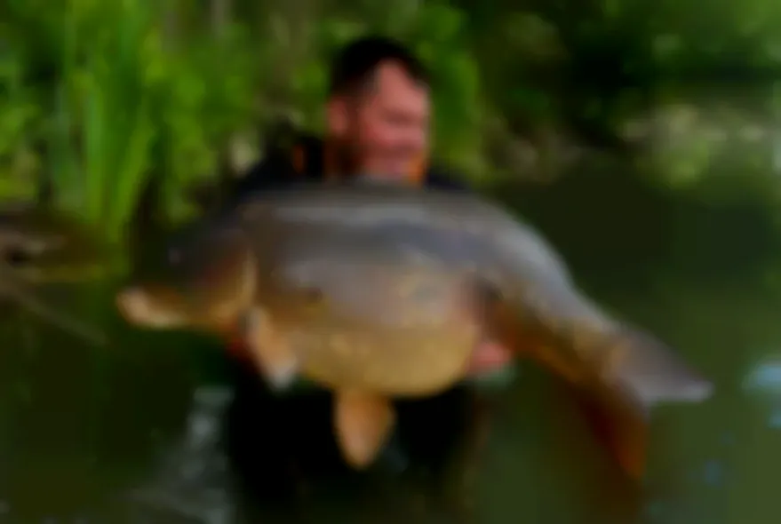 Maximumbaits: Ehrliche Boilies und die Story dahinter