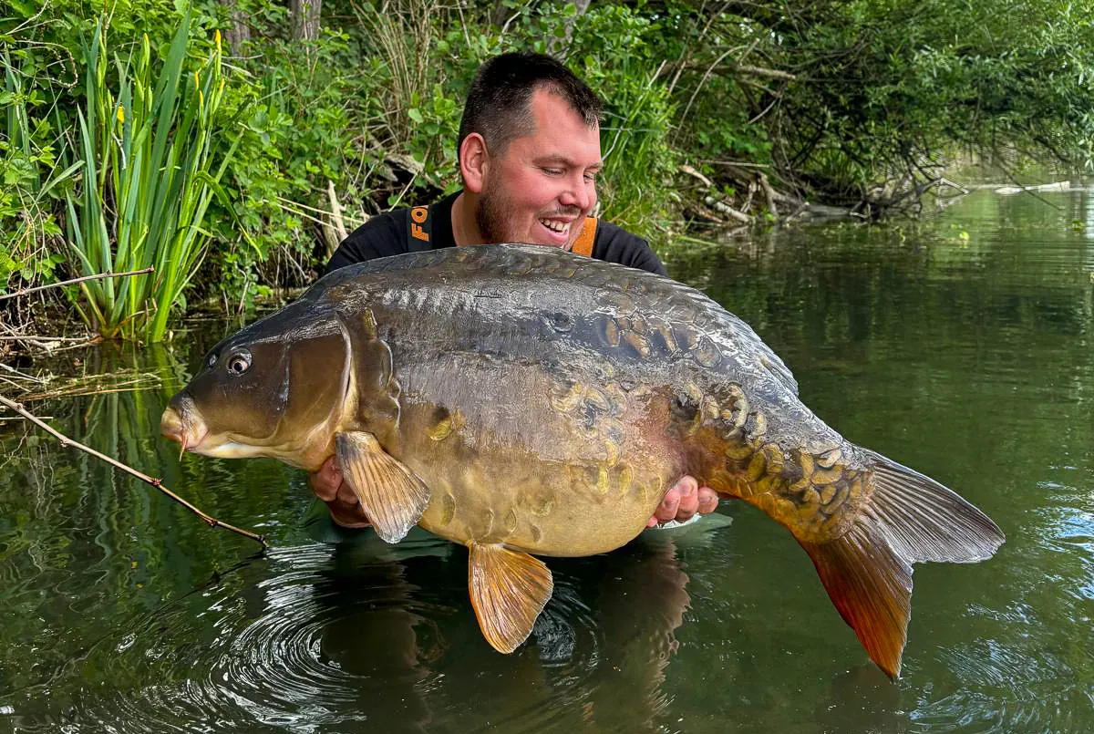 Maximumbaits: Ehrliche Boilies und die Story dahinter