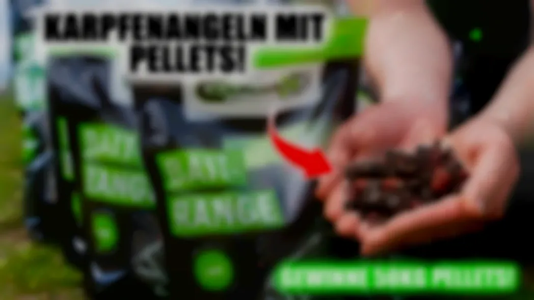 Karpfen lieben diesen Köder: Pellets! Carpline24 Pellet-Tutorial