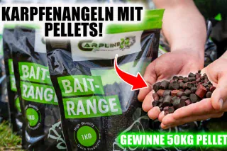 Karpfen lieben diesen Köder: Pellets! Carpline24 Pellet-Tutorial