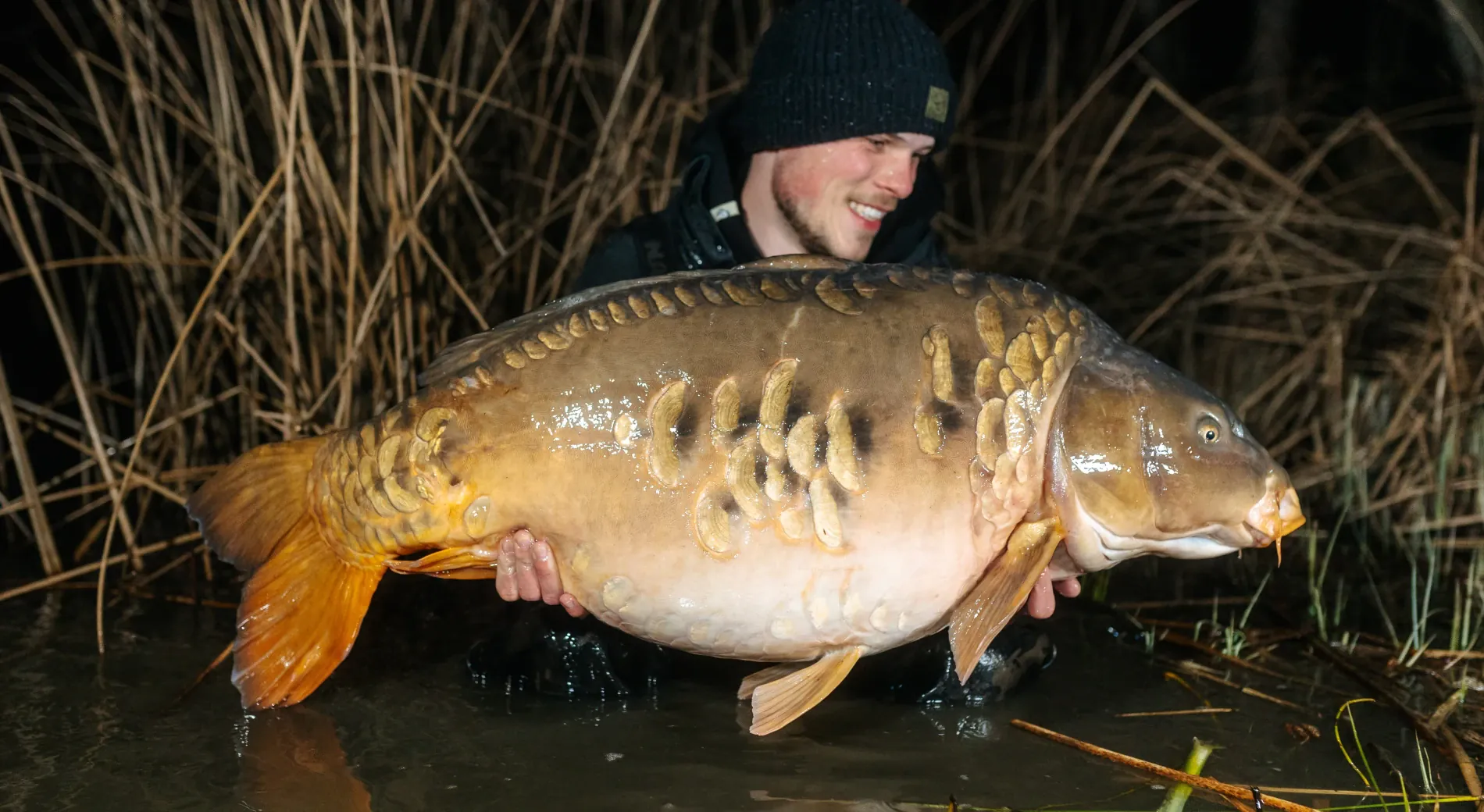 50 Karpfen über 20kg und mindestens 10 Fuffis: Krasse Großfischentwicklung am Steineweiler Weiher!