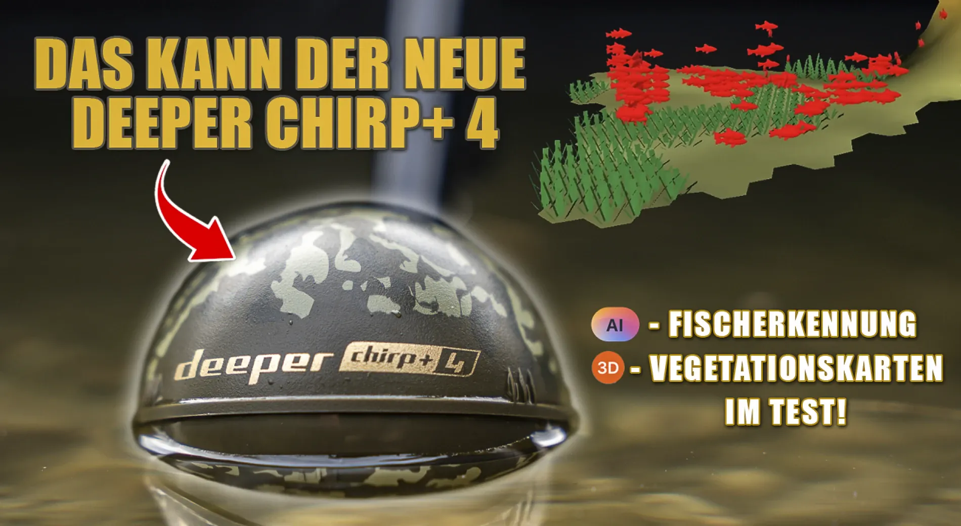 Fische mit KI erkennen? Deeper CHIRP+ 4 im Test!