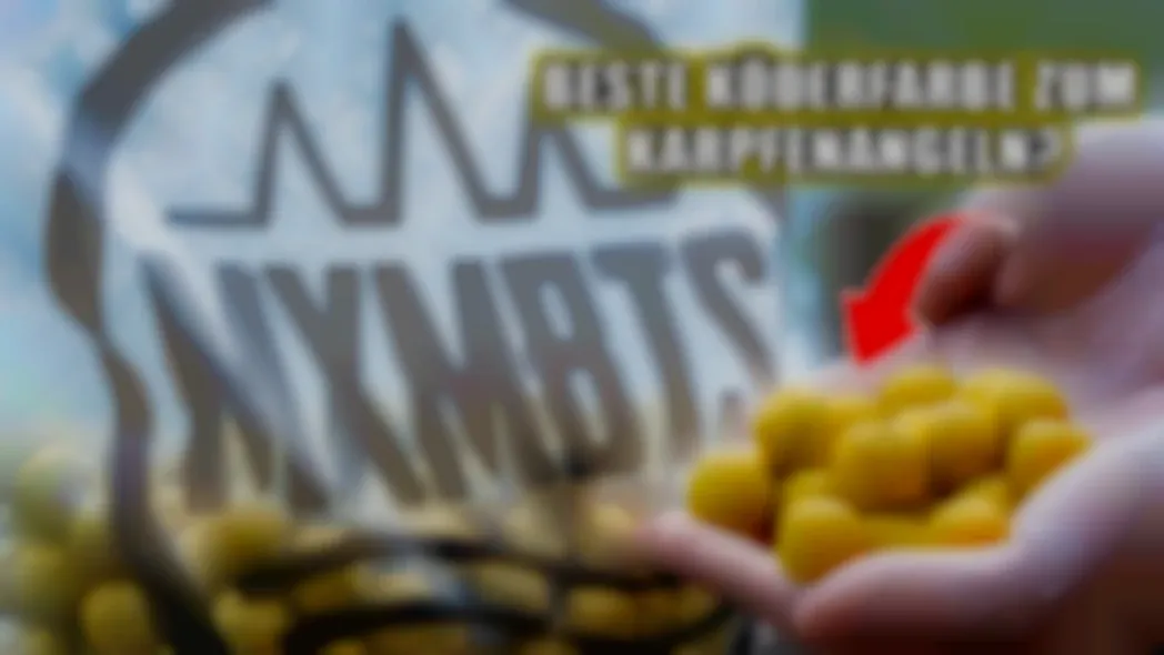 Geheimwaffe gelbe Boilies? Maximumbaits Twister im Unboxing