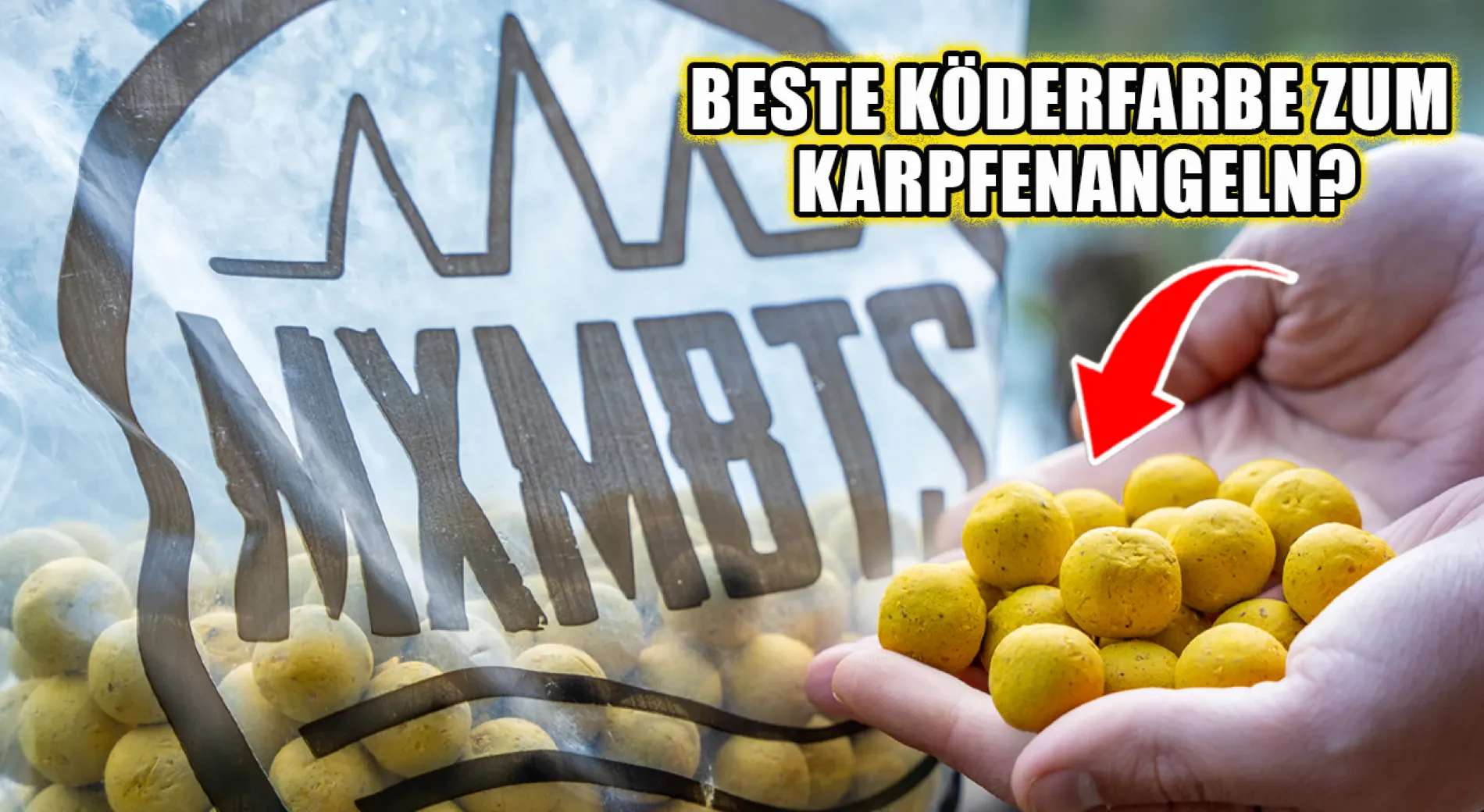 Geheimwaffe gelbe Boilies? Maximumbaits Twister im Unboxing