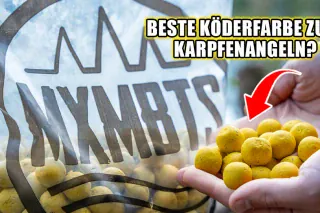 Geheimwaffe gelbe Boilies? Maximumbaits Twister im Unboxing