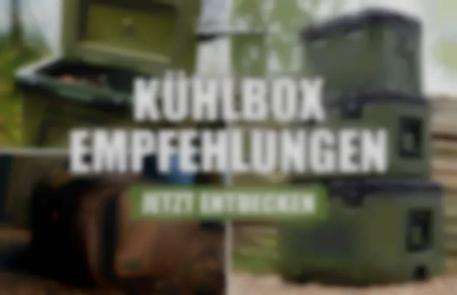 Keep it cool: Sommerangebote für Kühltaschen und Kühlboxen
