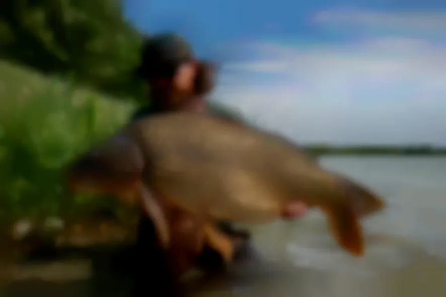 20% auf alles von Supreme Baits – nur noch heute und morgen!