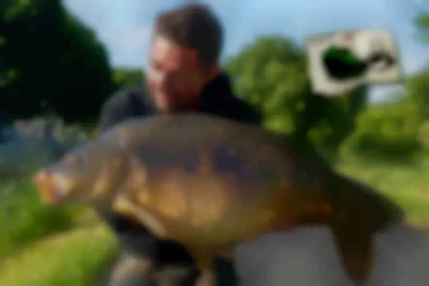 Die Tour der Zeiler – von David Rosemeier