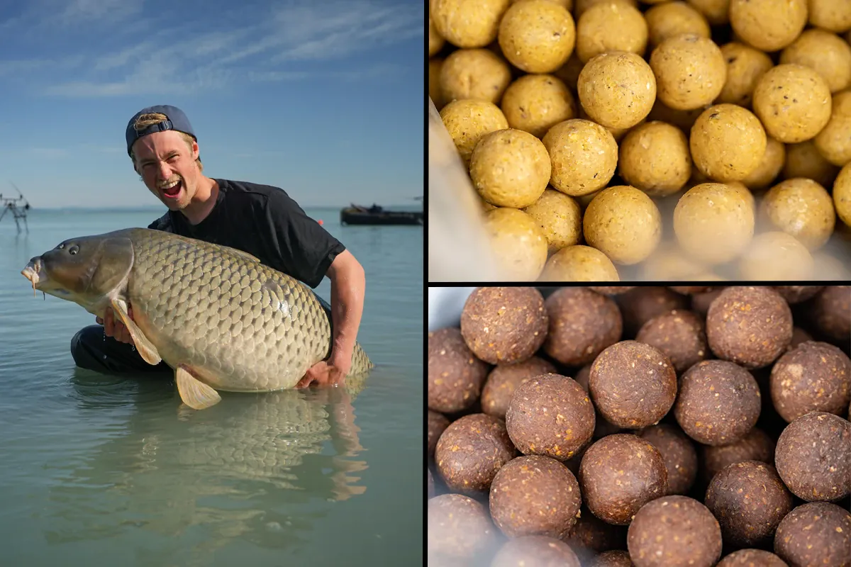 Supreme Baits erweitert das Sortiment: Neue Selective Range für große Futterkampagnen