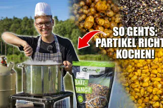SO kochst du die PERFEKTEN Partikel! Tutorial-Video mit Carpline24