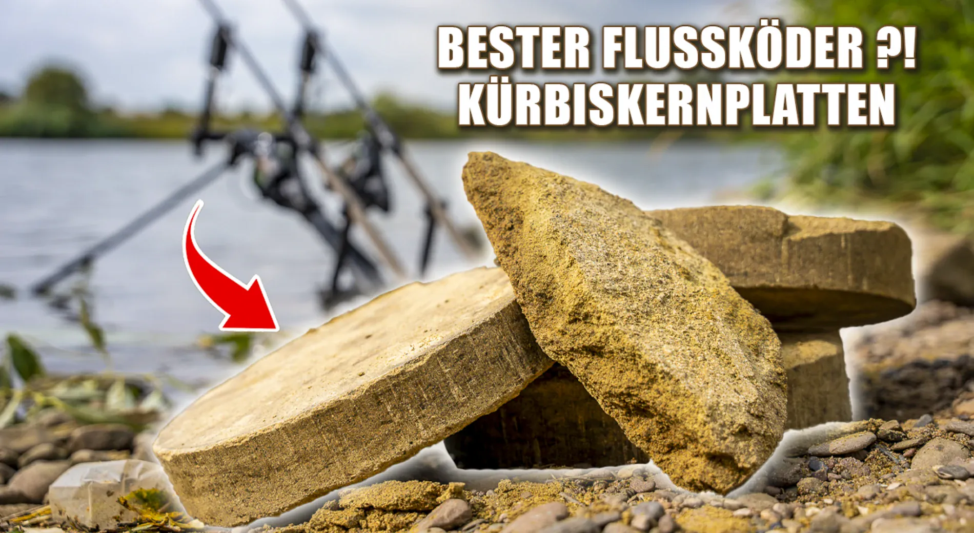 UNTERSCHÄTZTER Köder zum Karpfenangeln: Kürbiskernplatten