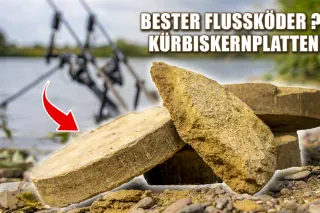 UNTERSCHÄTZTER Köder zum Karpfenangeln: Kürbiskernplatten