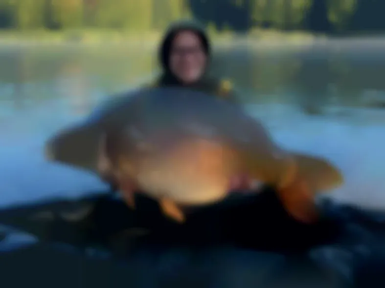Herbst-Update vom Steineweiler Weiher: letzte freie Plätze jetzt buchen!