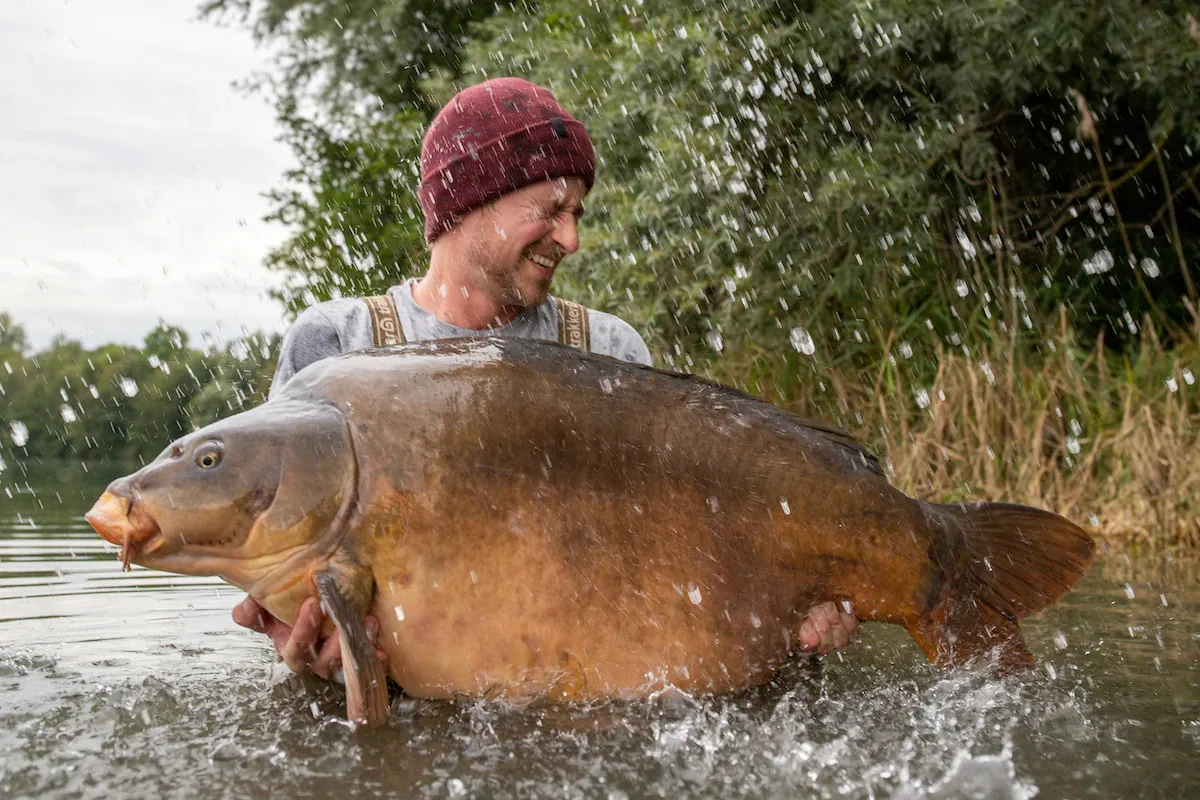 1_korda_video_saison_des_lebens_paschmanns