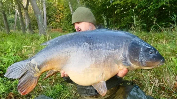 The Big One