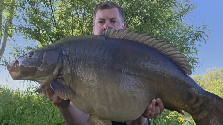 Pfingstfisch