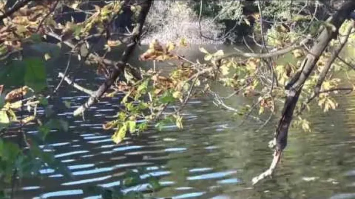 Video thumbnail image